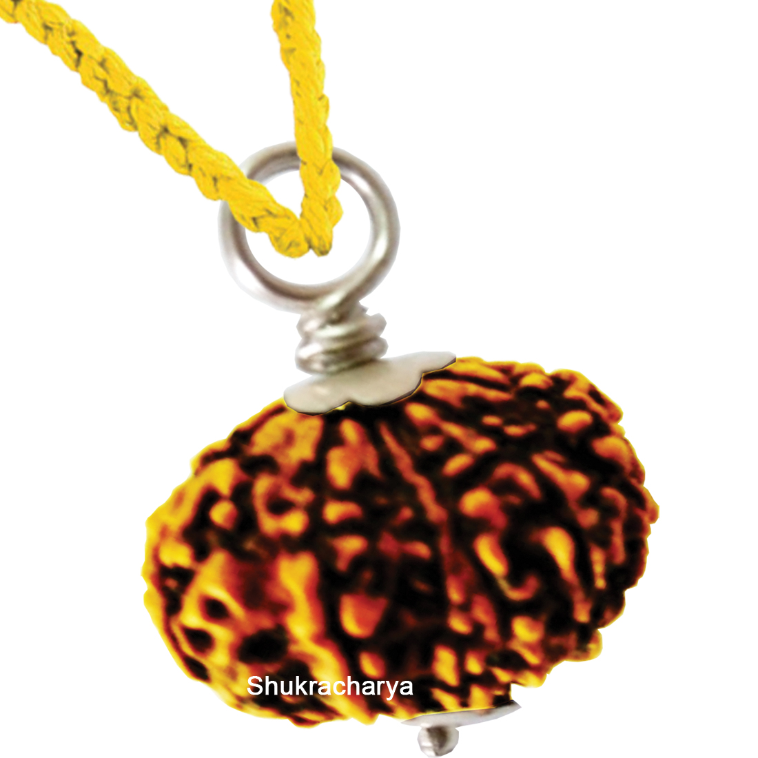 Natural 13 Mukhi Nepali Rudraksha Silver Pendant Original Certified