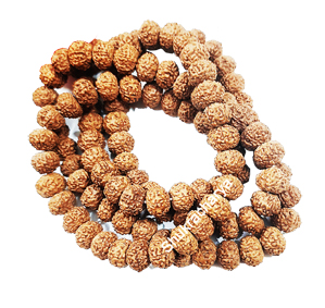 Natural 8 Mukhi Rudraksha Mala 108+1 Beads; Original & Certified