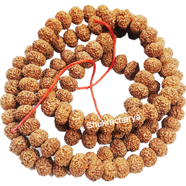 Natural 9 Mukhi Rudraksha Mala 108+1 Beads; Original & Certified